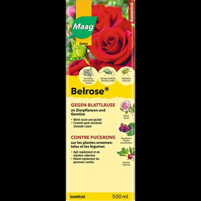 Belrose gg. Blattläuse Maag 500 ml